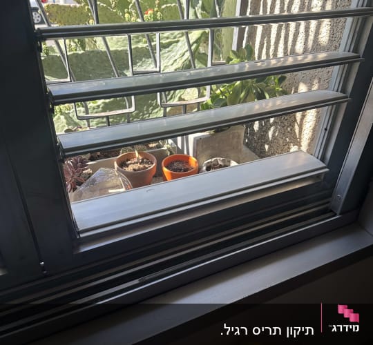 תריסים מתכתיים פתוחים עם צמחים בעציצים בחוץ
